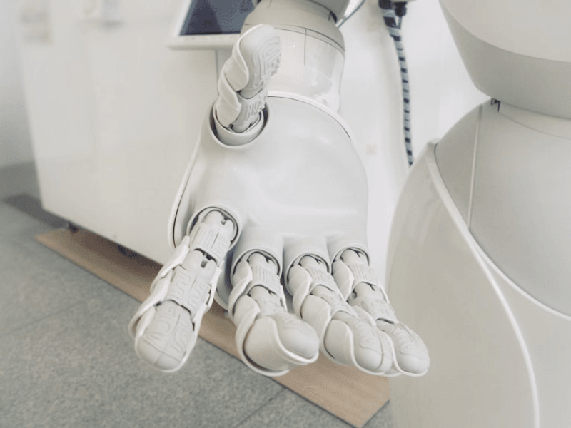 AI Chatbots & Workflow Automation